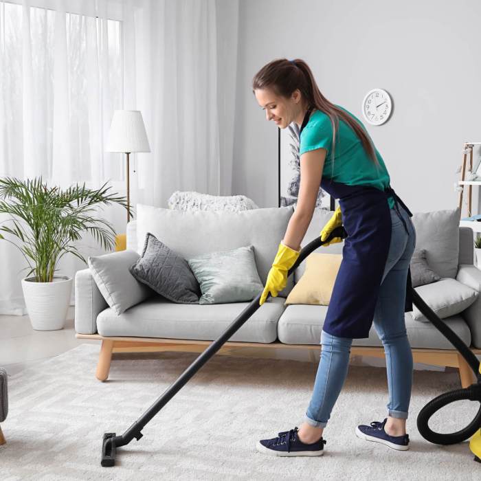 Why Choose Professional Deep Cleaning Services in Castle Rock, CO? | Missa Clean