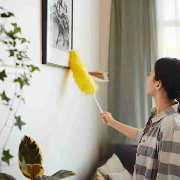 Airbnb Cleaning Services in denver