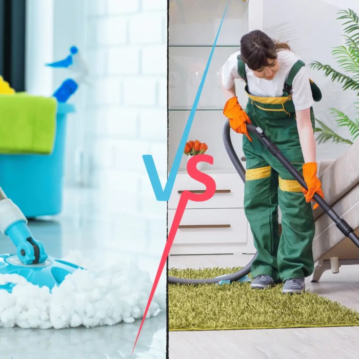 Full Cleaning vs Deep Cleaning Services in Denver | Missa Clean