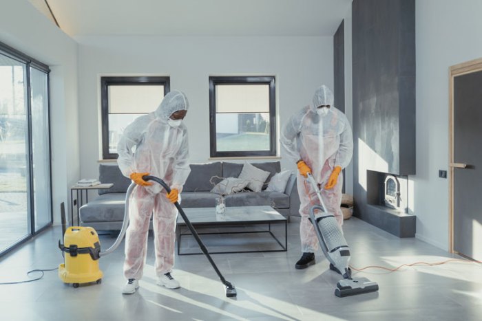 How Often Should Denver Homes Get a Professional Deep Cleaning | Missa Clean